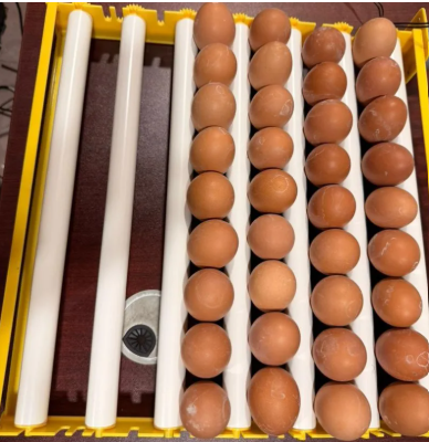 56 Eggs Plastic Tray Automatic Egg Incubator view 2