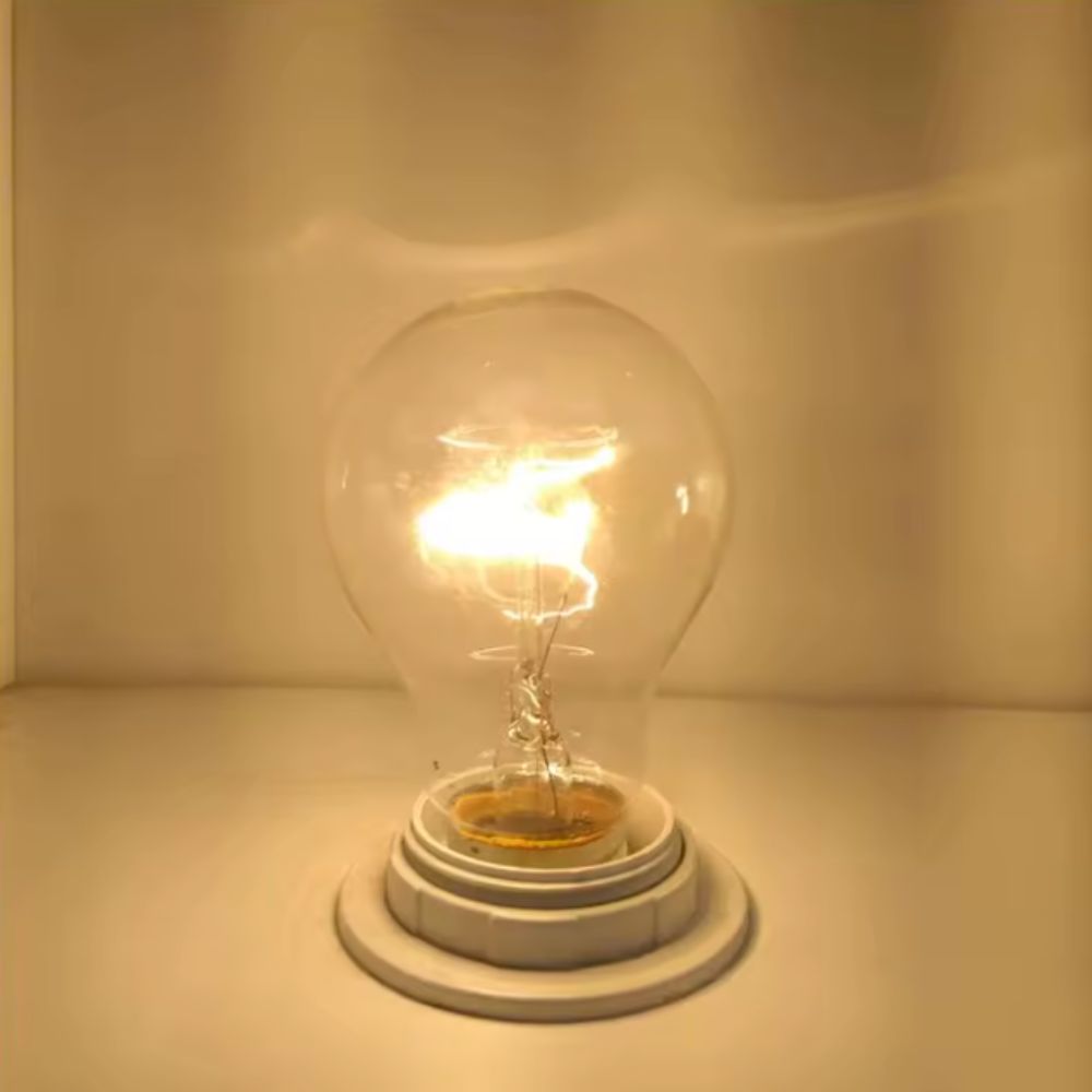 BT E26 A19 Edison Heating Lamp 40W light bulb for Incubator view 2