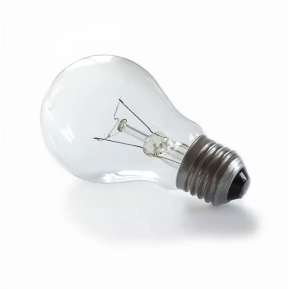 BT E26 A19 Edison Heating Lamp 40W light bulb for Incubator - STS Electronic Components Kigali