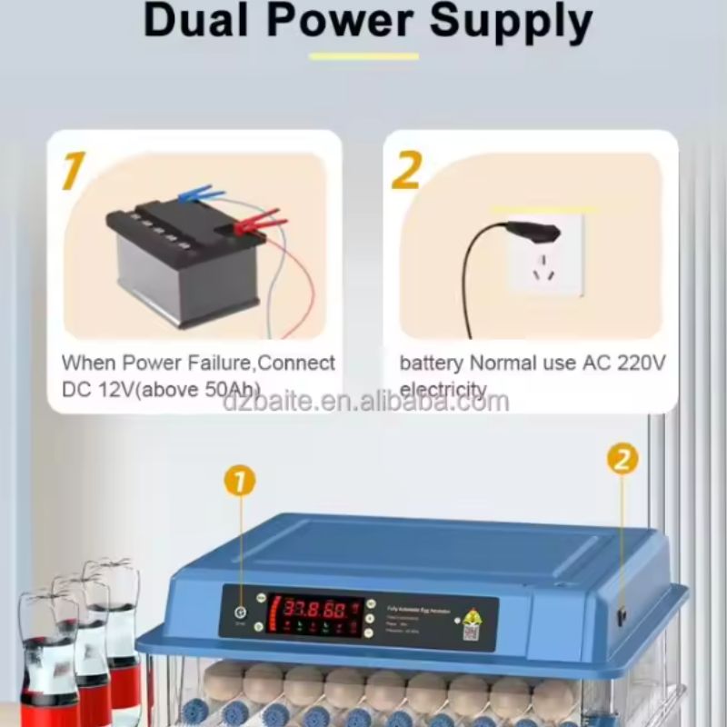 300 Eggs Capacity Small-Sized Automatic Egg Incubator Dual Power view 4