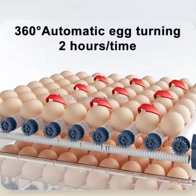 300 Eggs Capacity Small-Sized Automatic Egg Incubator Dual Power view 2