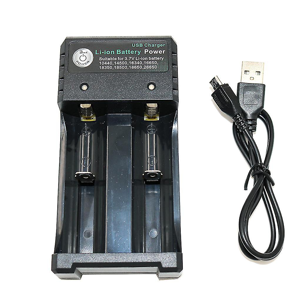 Charger Li-ion battery USB independent charging portable electronic