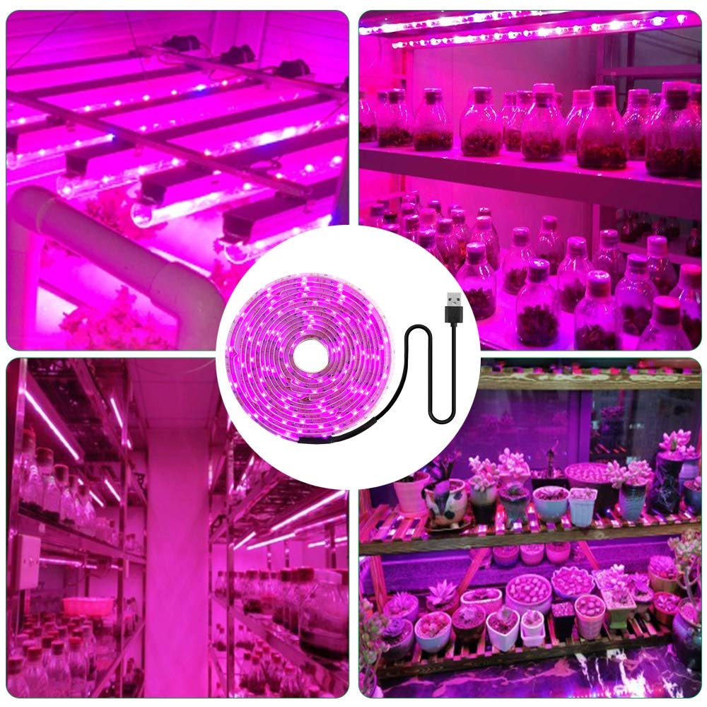 5V USB Led Plant Grow Light 3m Strip for Seeds Flower Greenhouse view 3