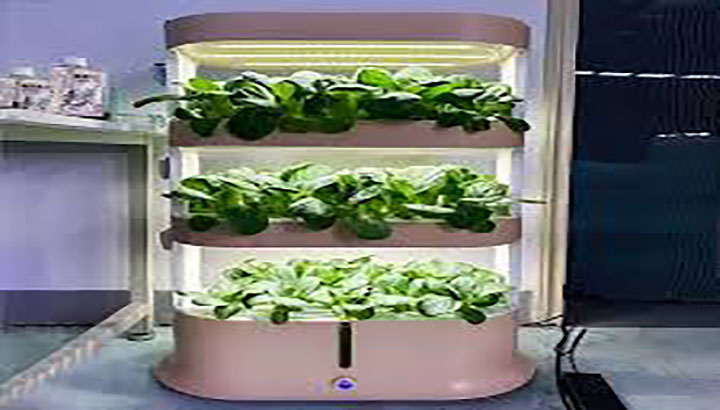 Smart Hydroponic Grow Chamber for Indoor Farming