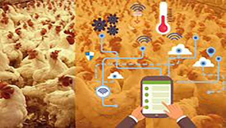Smart Chicken farming IOT Project for farmers