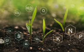 Smart Fertilizer and Profitability Advisor